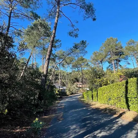 4 Pers, Balcon Ensoleille, Proche Plage - Fr-1-648-146 Appartamento